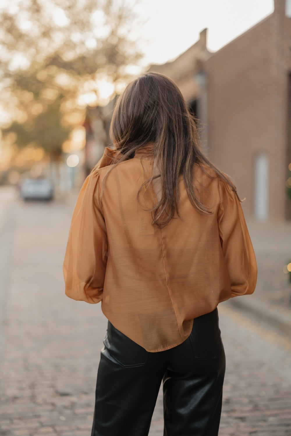Carissa Camel Organza Bow Top (S-3XL)