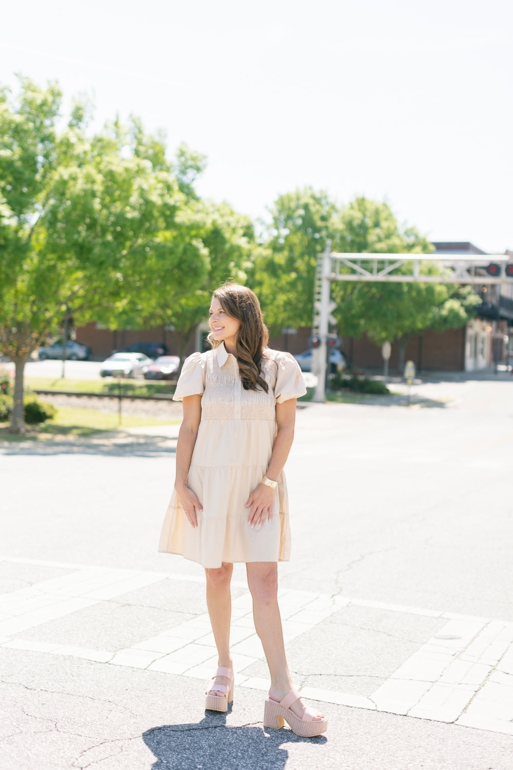 Dinna Taupe Smocked Button Down Dress (S-2XL)