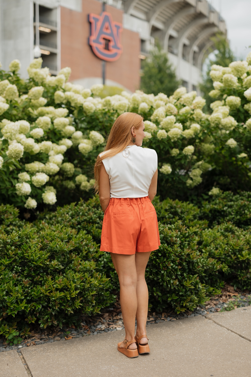 Burnt Orange High Waist Shorts