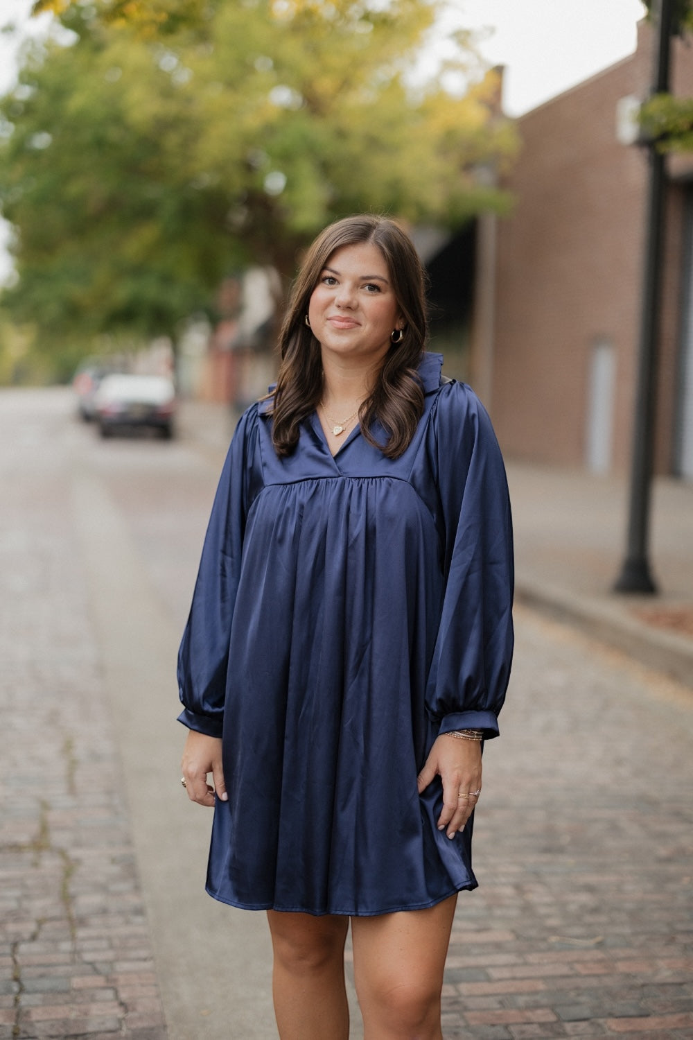 Savannah Navy Ruffle Collar Dress (S-3XL)