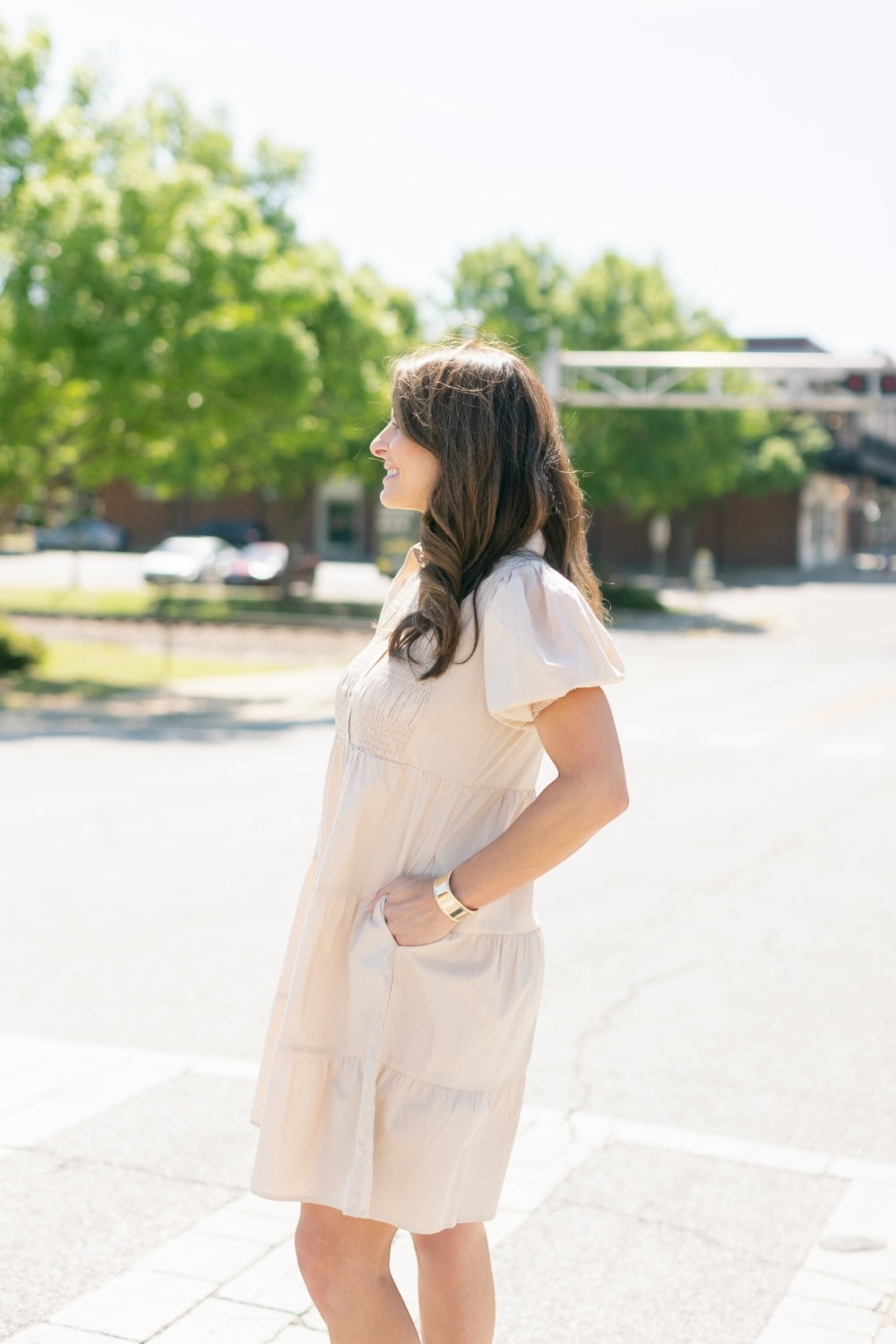 Dinna Taupe Smocked Button Down Dress (S-2XL)