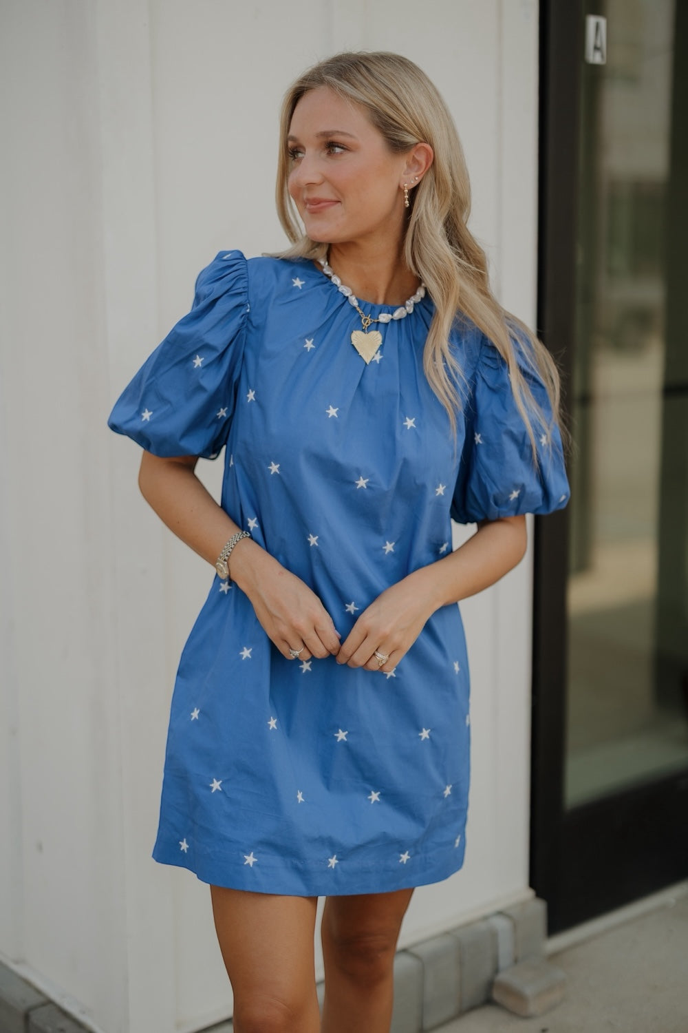 Star Embroidered Mini Dress