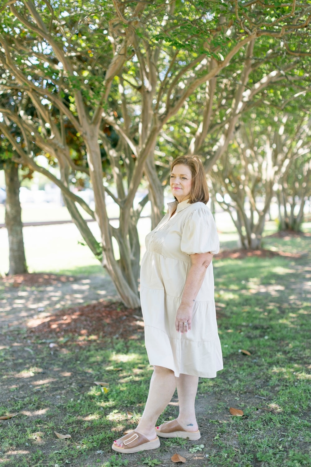 Dinna Taupe Smocked Button Down Dress (S-2XL)
