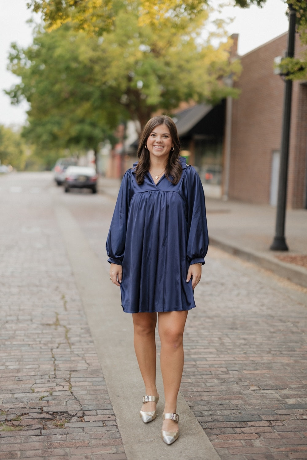 Savannah Navy Ruffle Collar Dress (S-3XL)