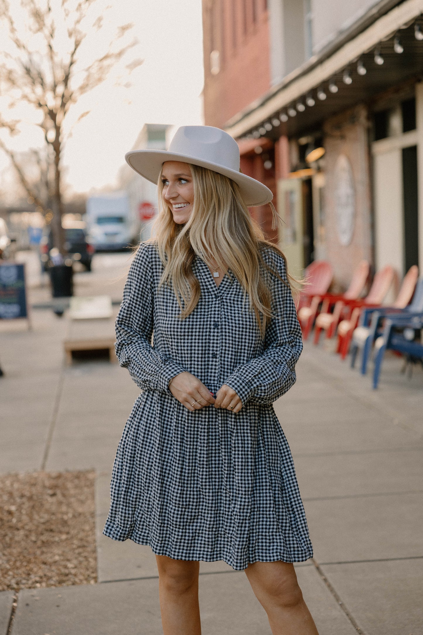 Jackie Gingham Dress