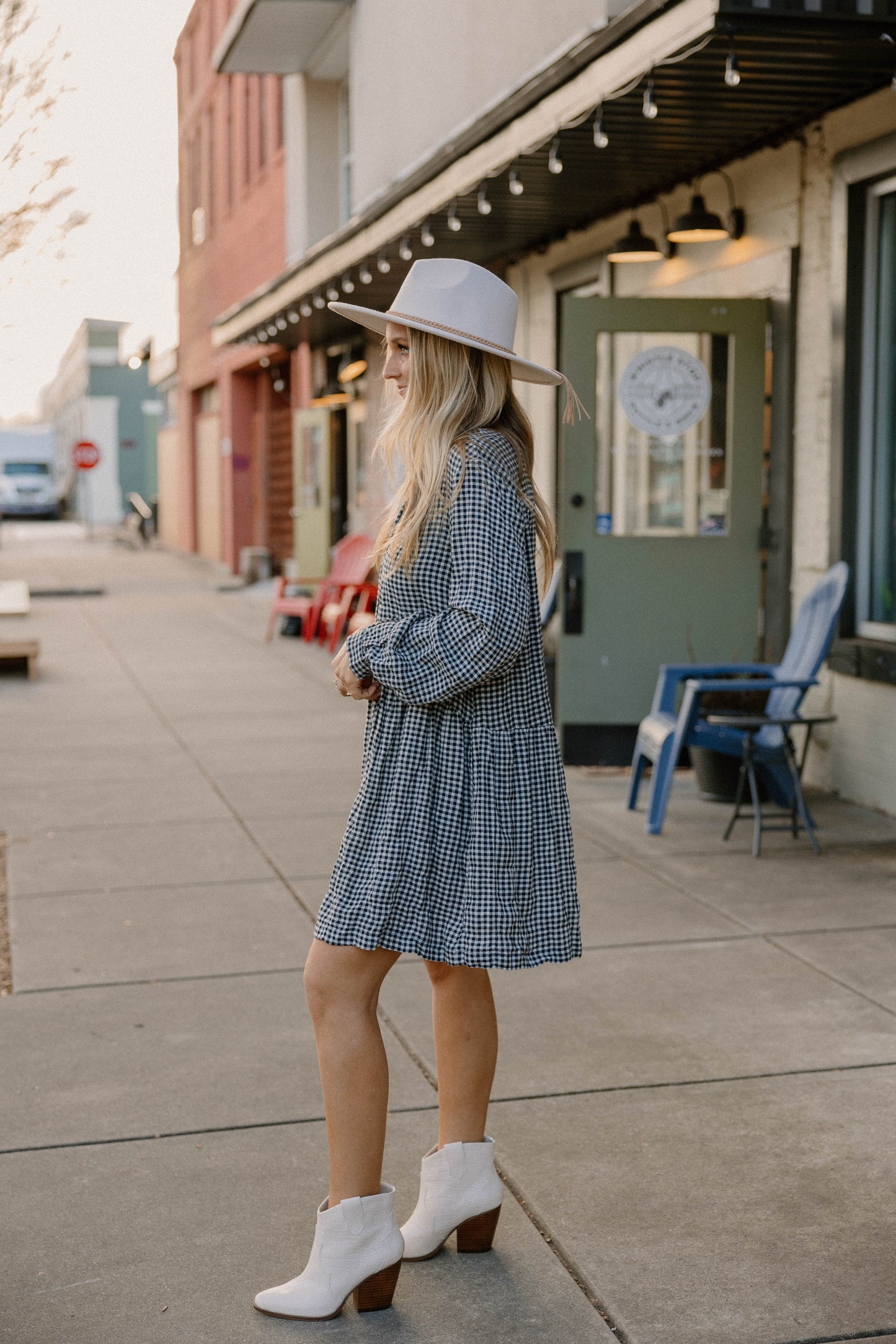 Jackie Gingham Dress