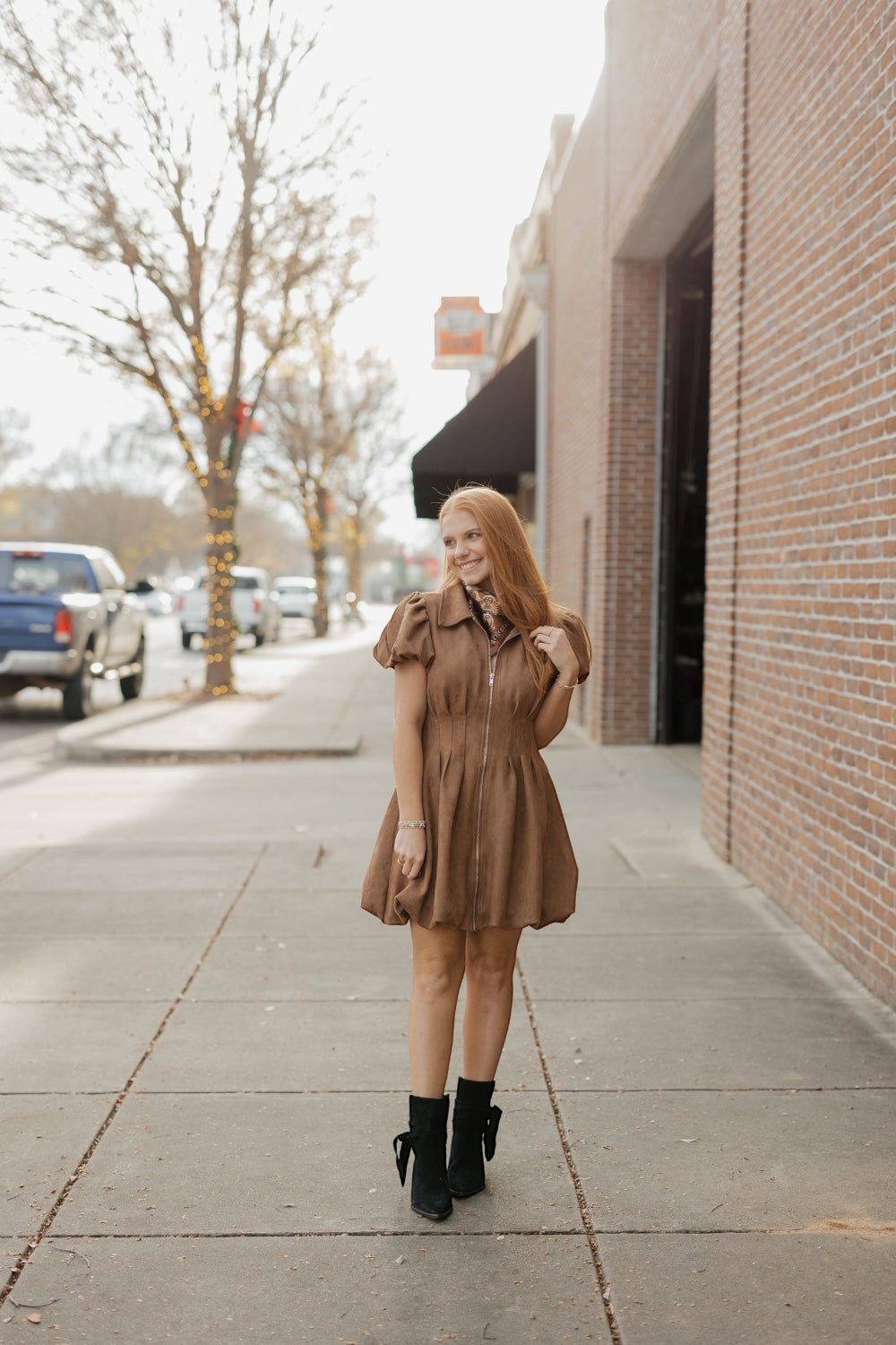 Stella Brown Suede Zip Front Dress