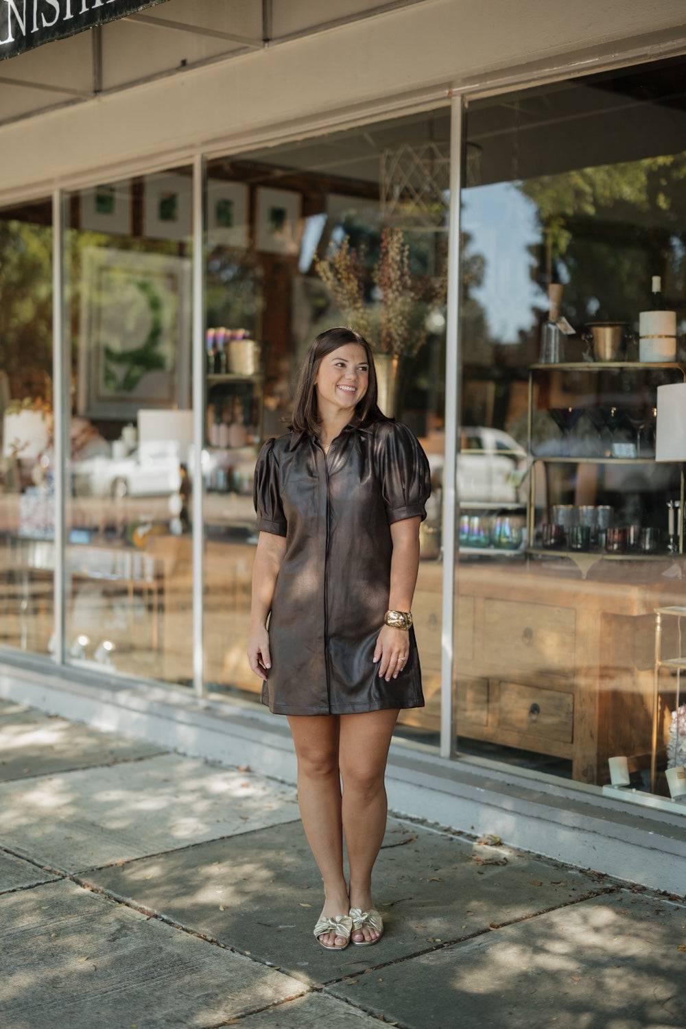 Vivienne Dark Chocolate Suede Mini Dress