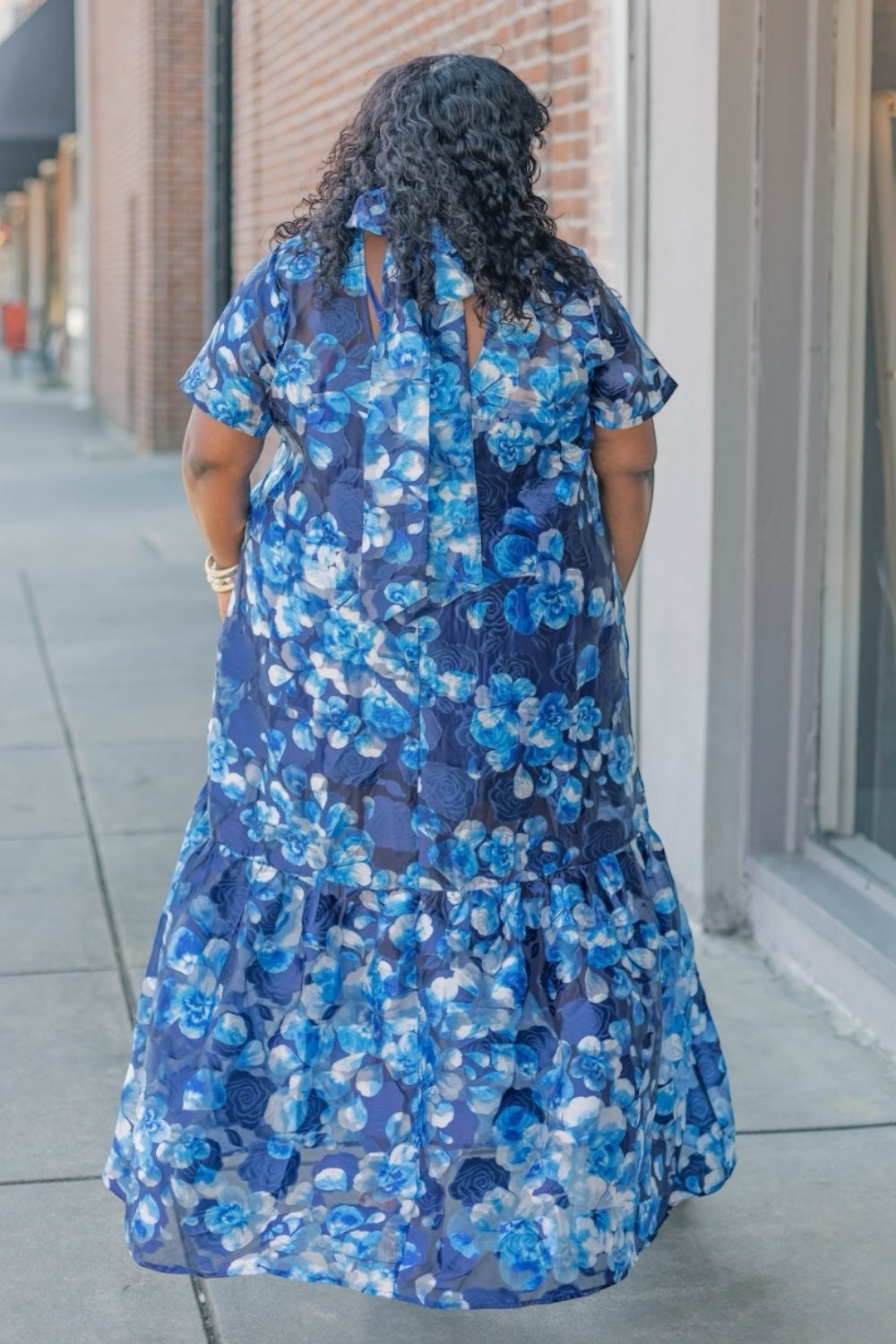 Abay Floral Organza Maxi Dress (S-3XL)