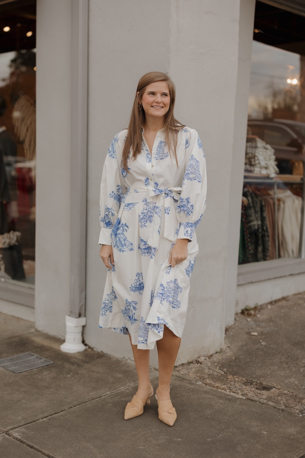 Toile Button Down Midi Shirt Dress