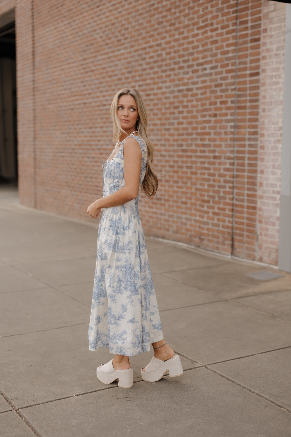 LeeAnn Toile Corset Waist Dress