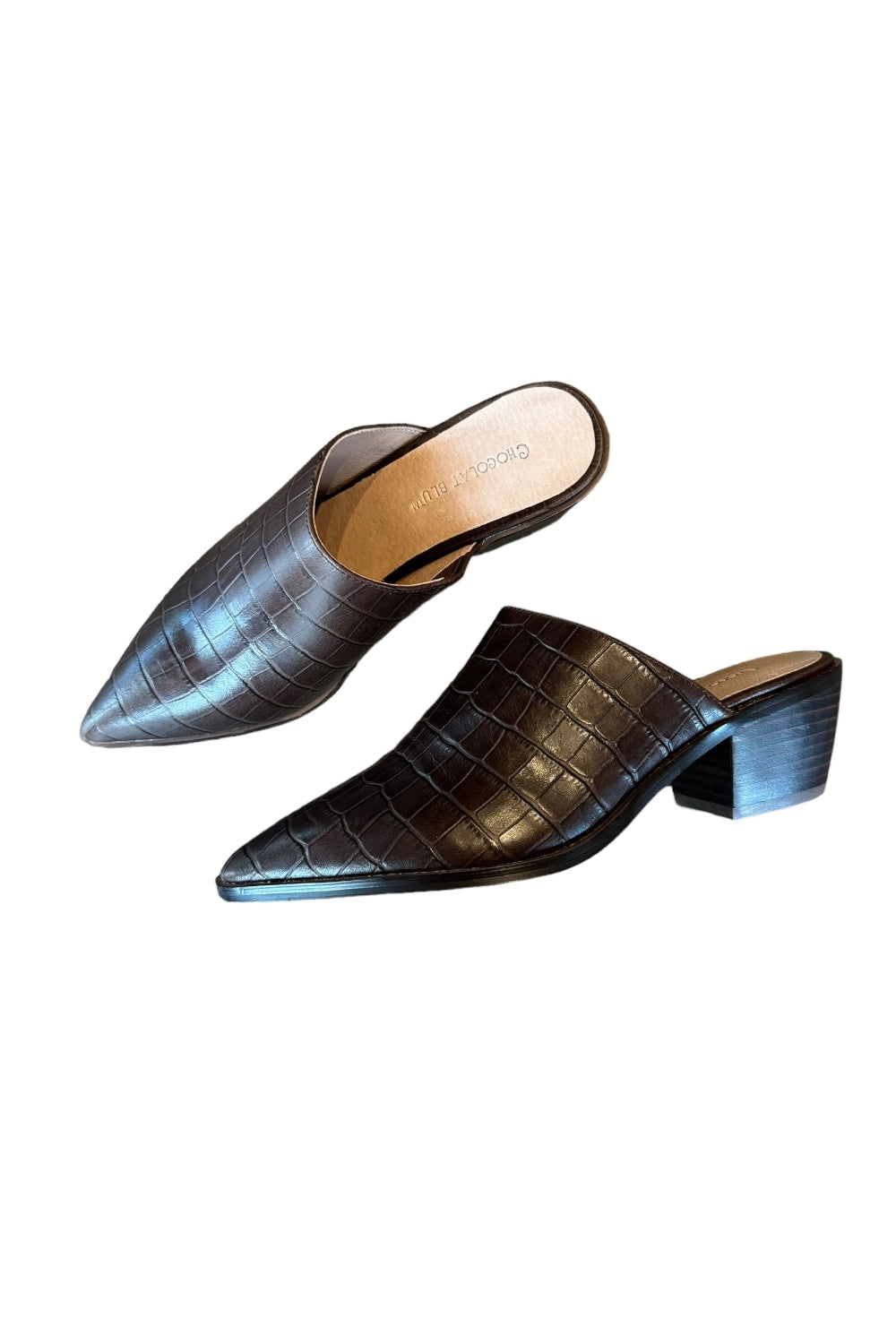 Cellia in Brown Embossed Croc by Chocolat Blu