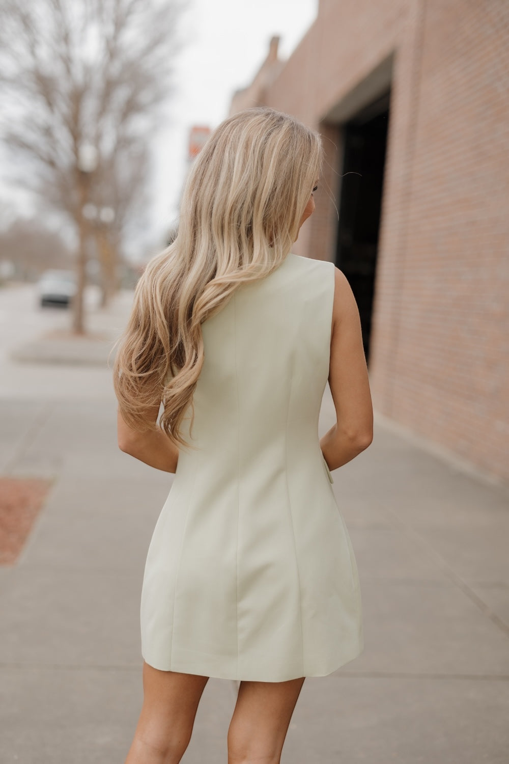 Sage Sleeveless Blazer Mini Dress