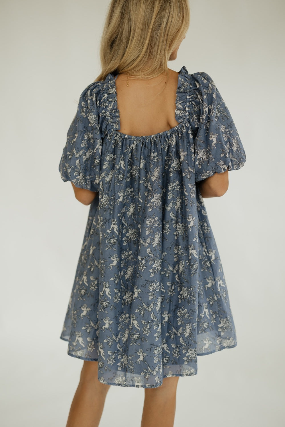 Tara Toile Print Mini Dress