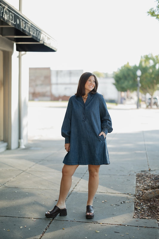 Daisy Dark Denim Collar Shirt Dress