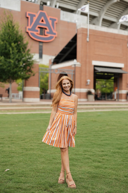 Phoebe Striped Strapless Mini Dress