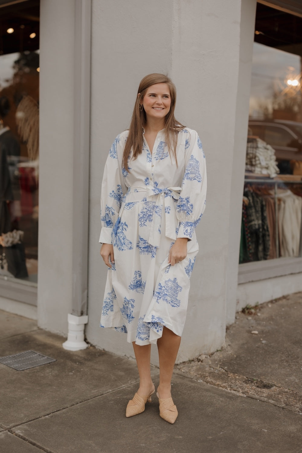 Toile Button Down Midi Shirt Dress