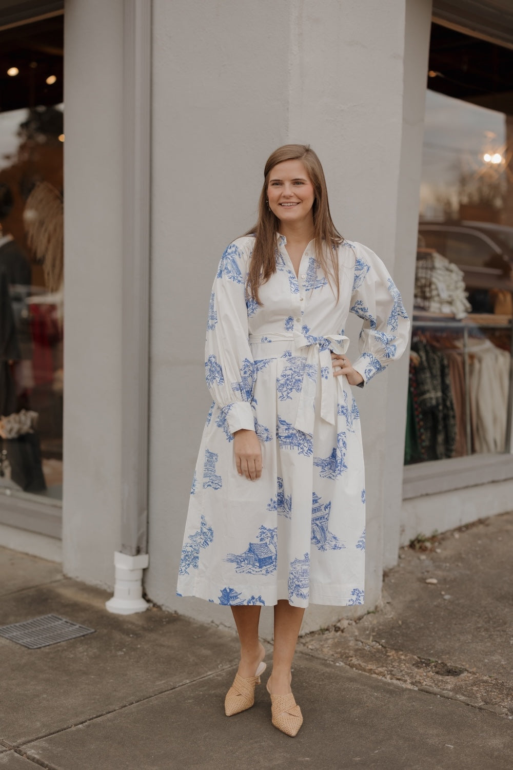 Toile Button Down Midi Shirt Dress