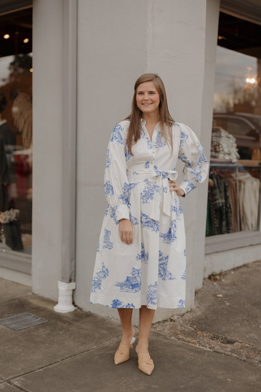 Toile Button Down Midi Shirt Dress