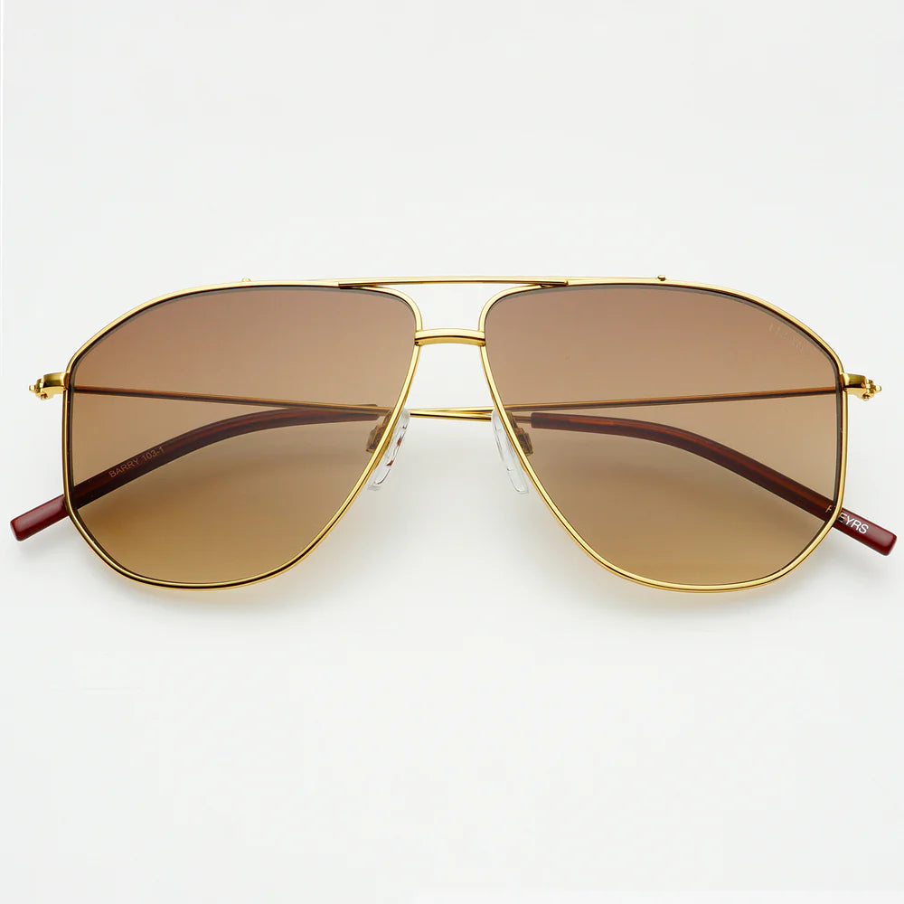 Barry in Brown by Freyrs