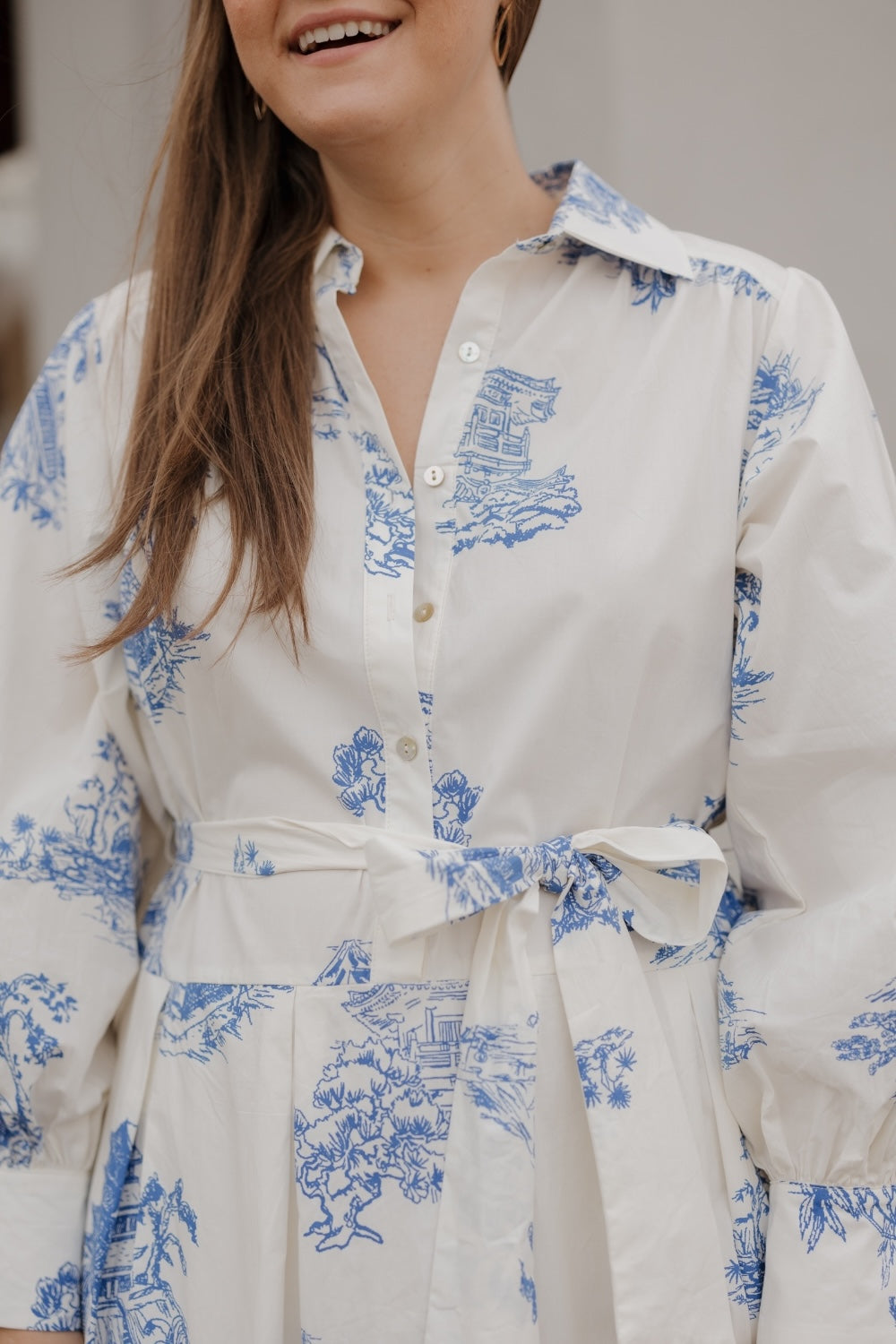 Toile Button Down Midi Shirt Dress