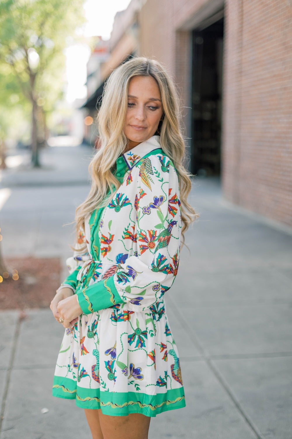 Emmie Print Button Up Dress (S-2XL)