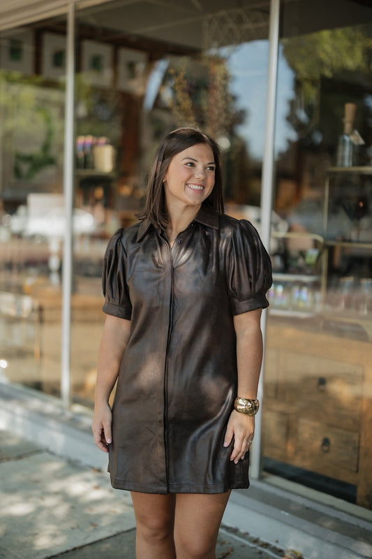 Vivienne Dark Chocolate Suede Mini Dress