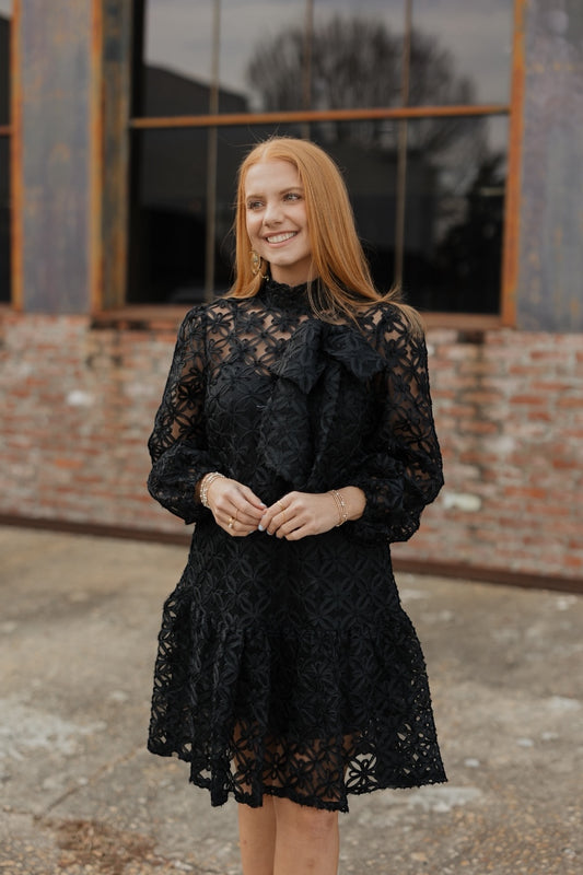 Jasmine Black Organza Long Sleeve Bow Dress
