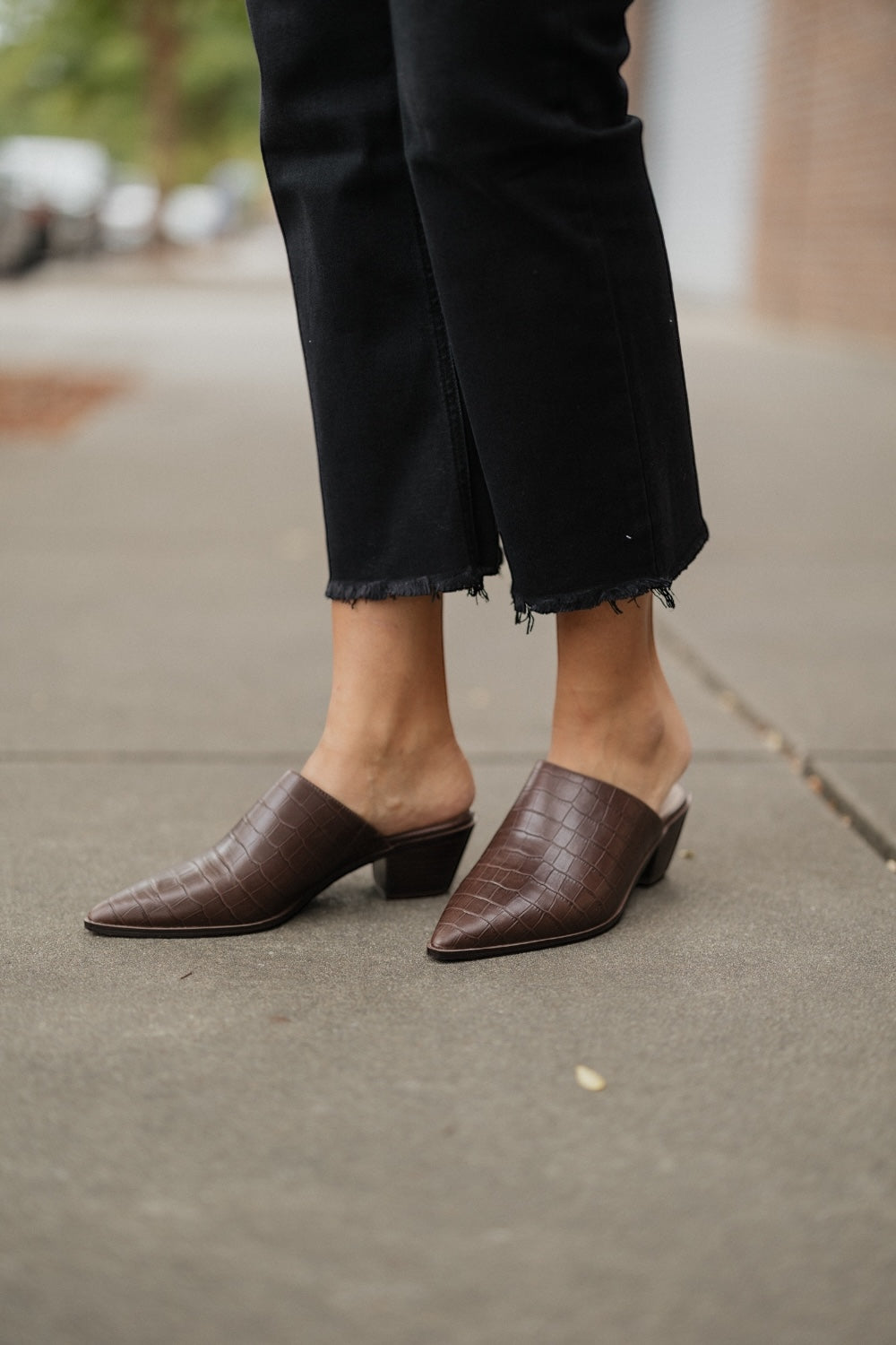 Cellia in Brown Embossed Croc by Chocolat Blu