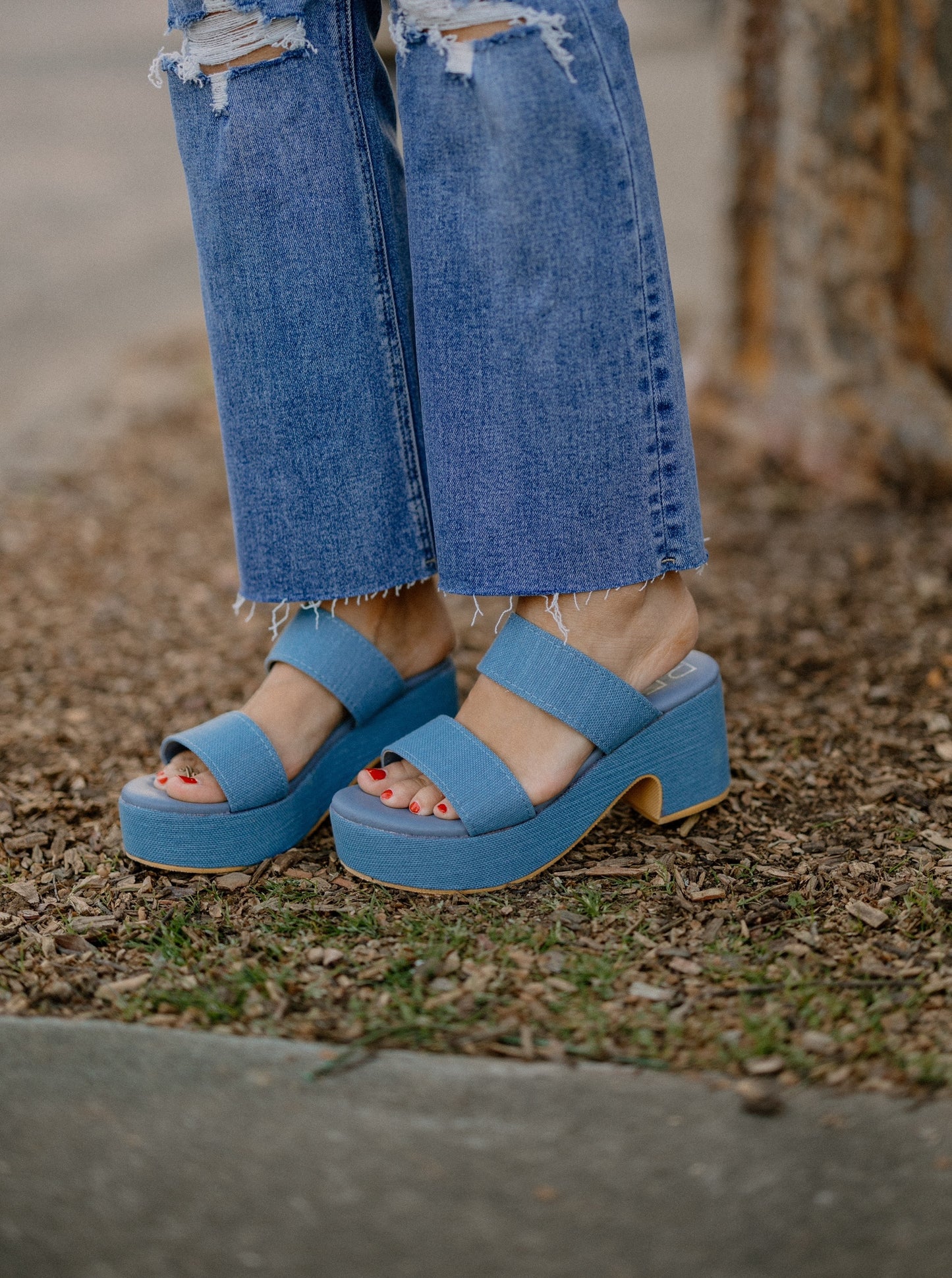 Ocean Ave in Denim by Matisse