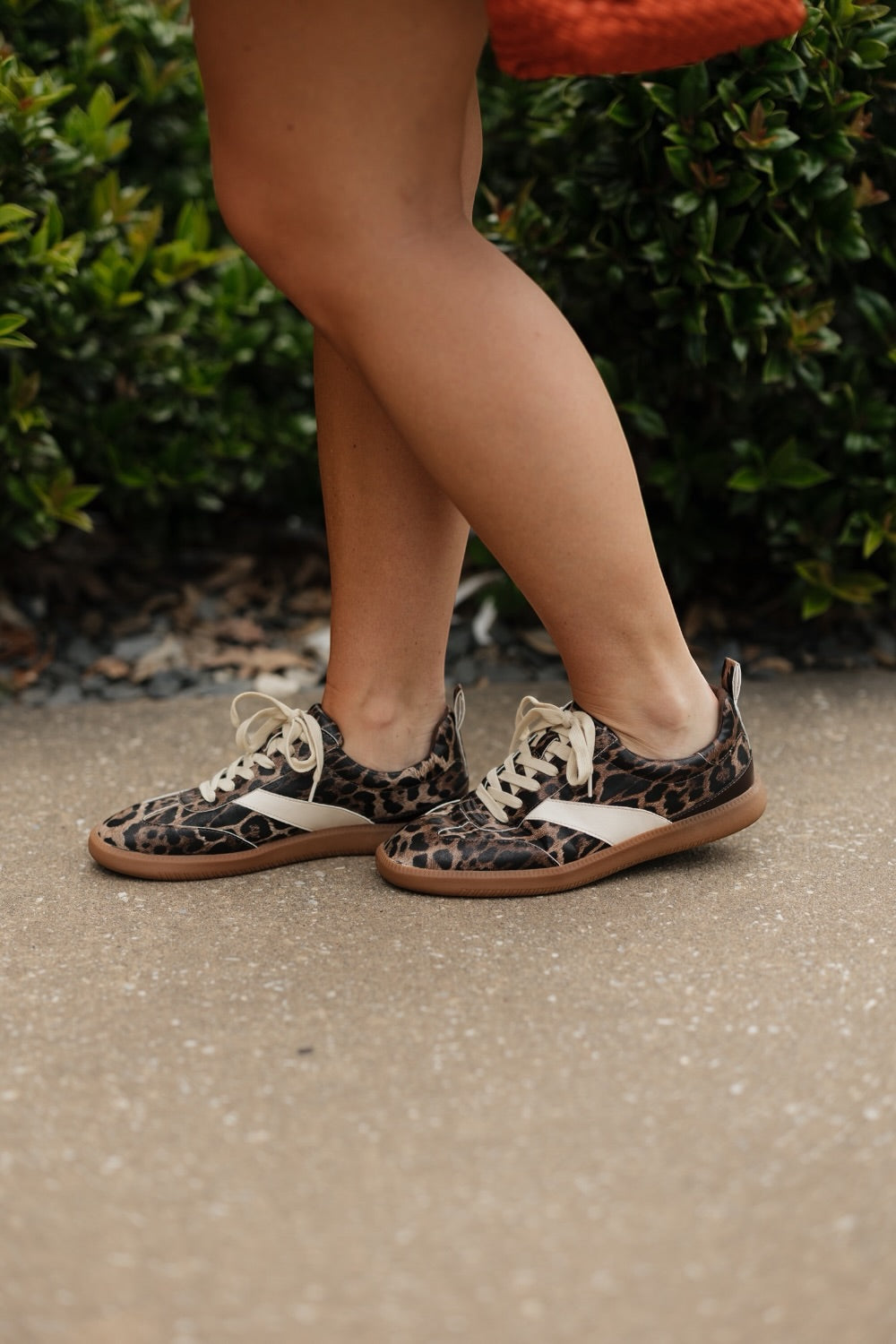 Wylder Low-Top Sneaker in Brown Leopard by Matisse Footwear