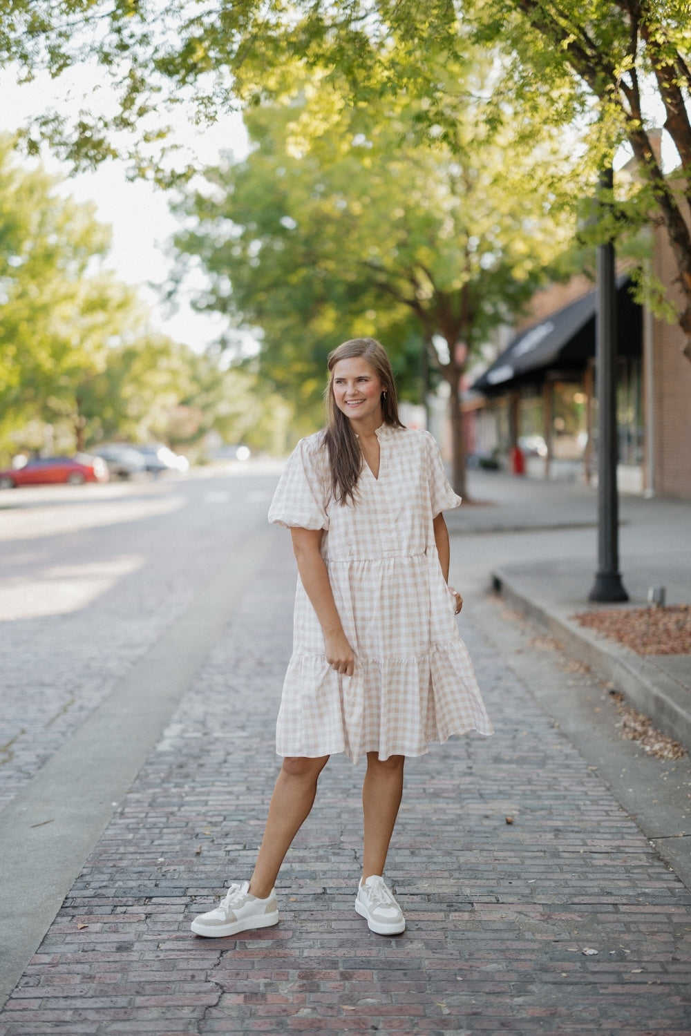 Mollie Taupe Checkered Dress