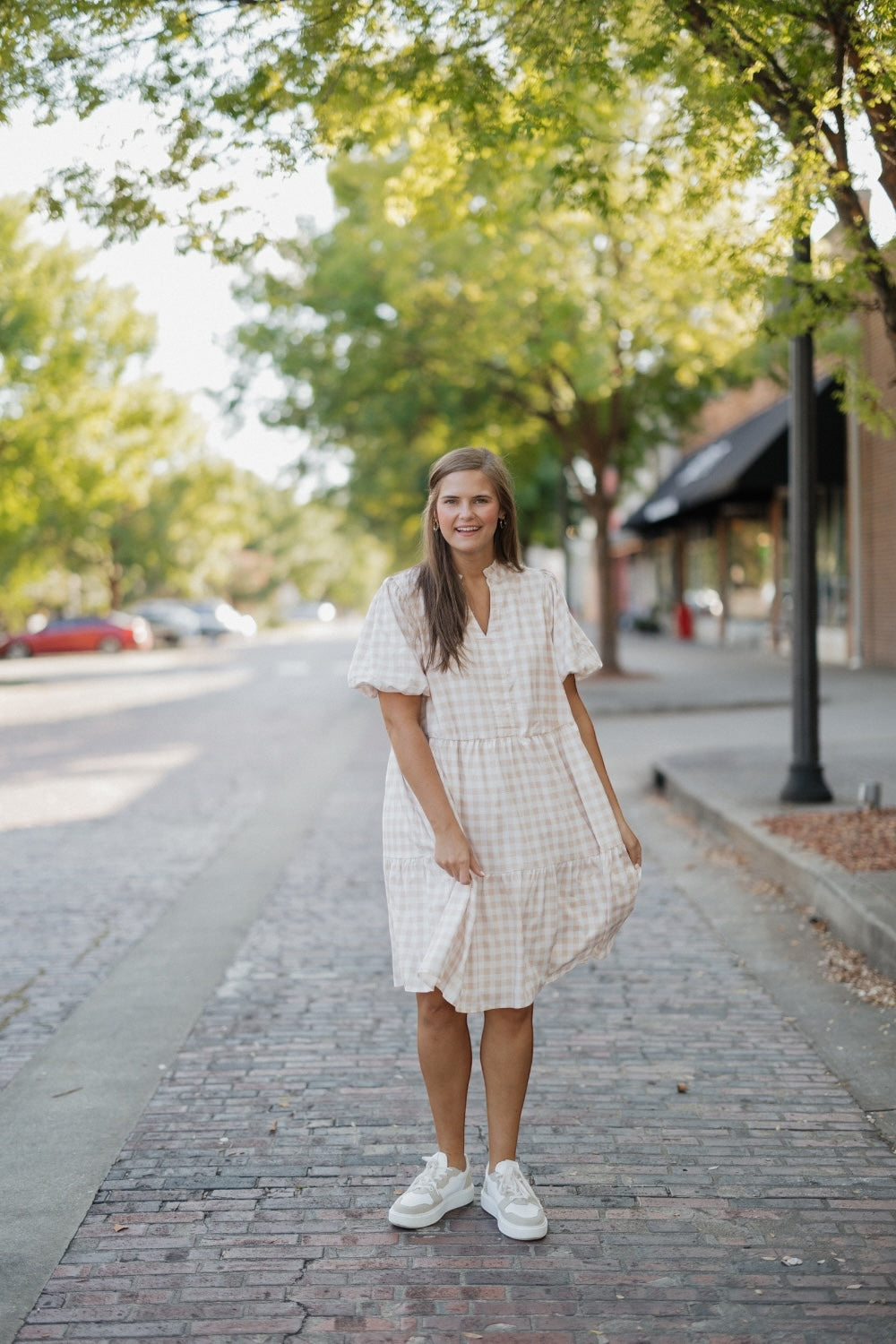 Mollie Taupe Checkered Dress