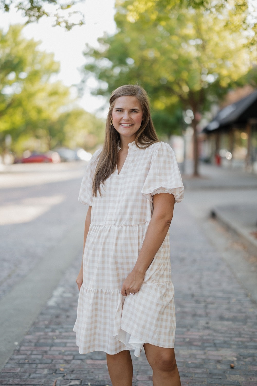 Mollie Taupe Checkered Dress