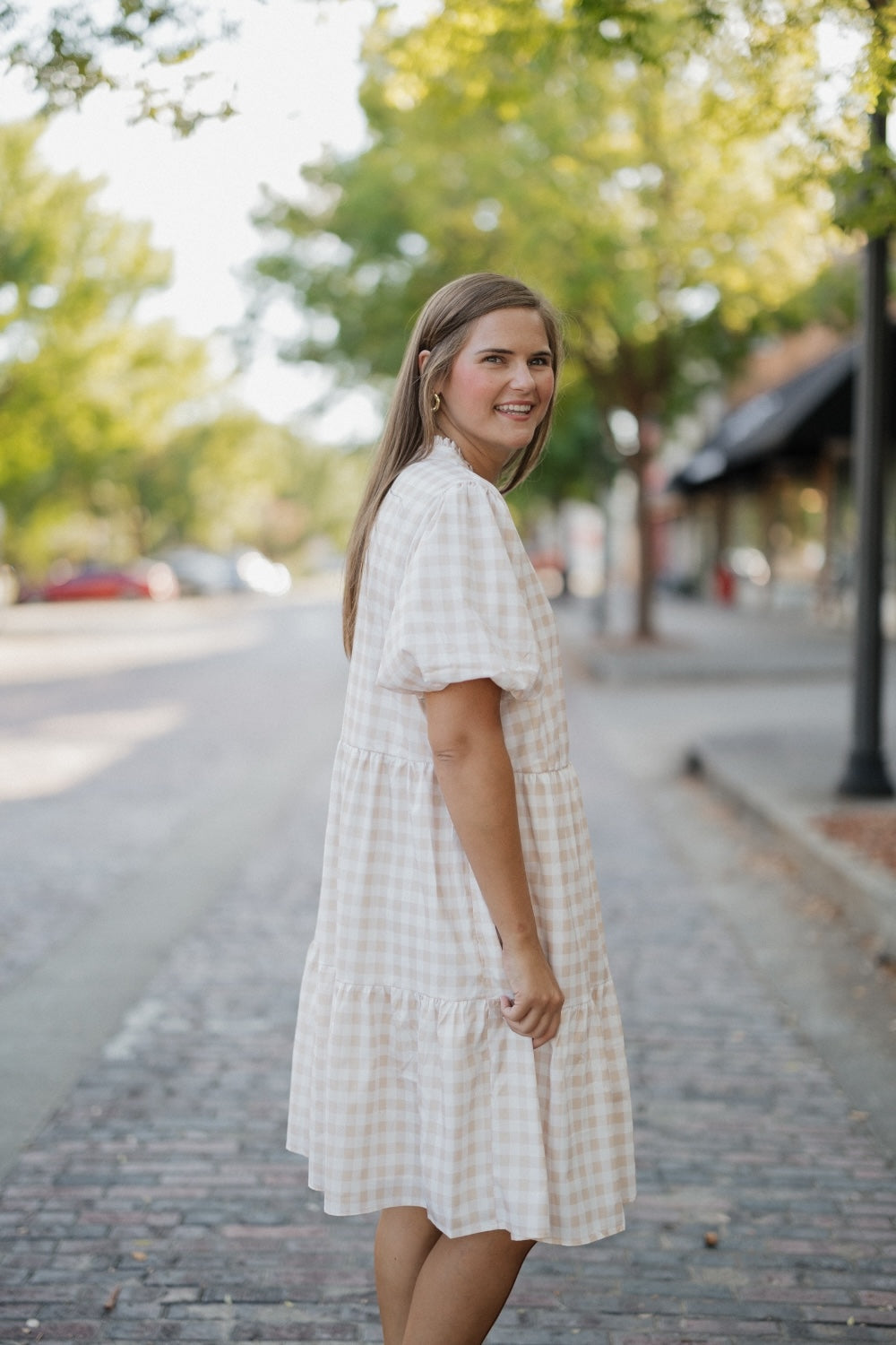 Mollie Taupe Checkered Dress
