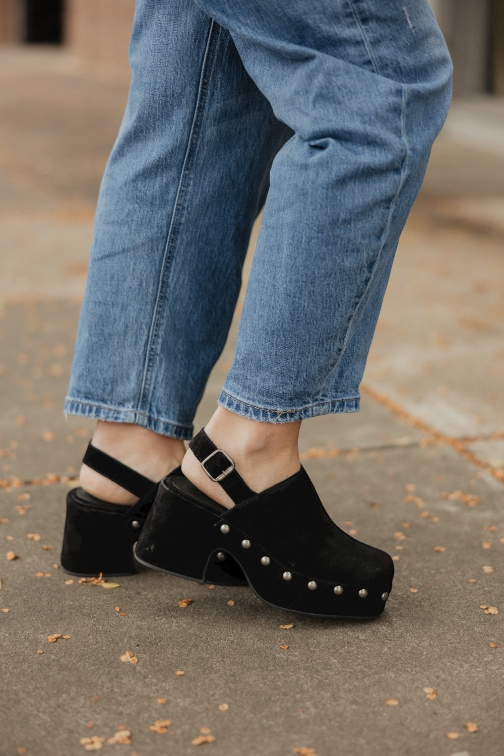 Harley in Black Suede by Chocolat Blu