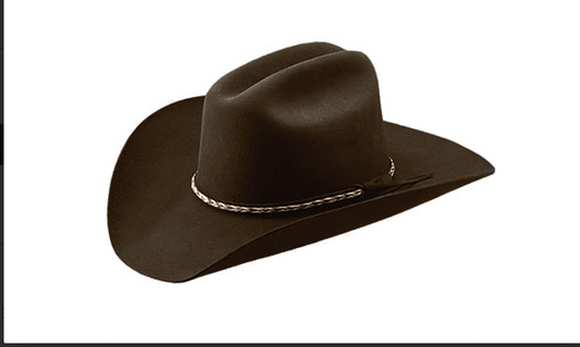 Custom Hat: Master Hatters Bandit in Brown